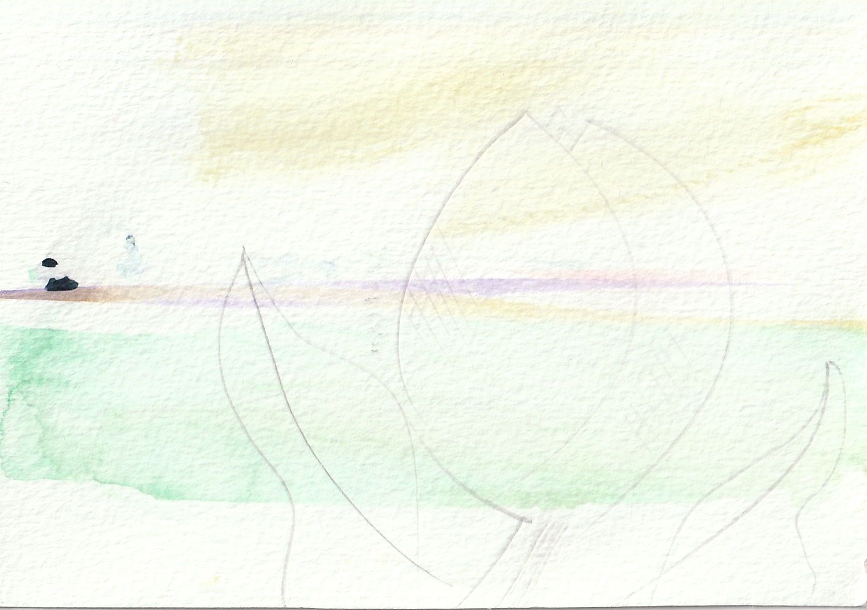 Bulb Fields IV